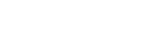 Interconn Carriers, Inc. logo